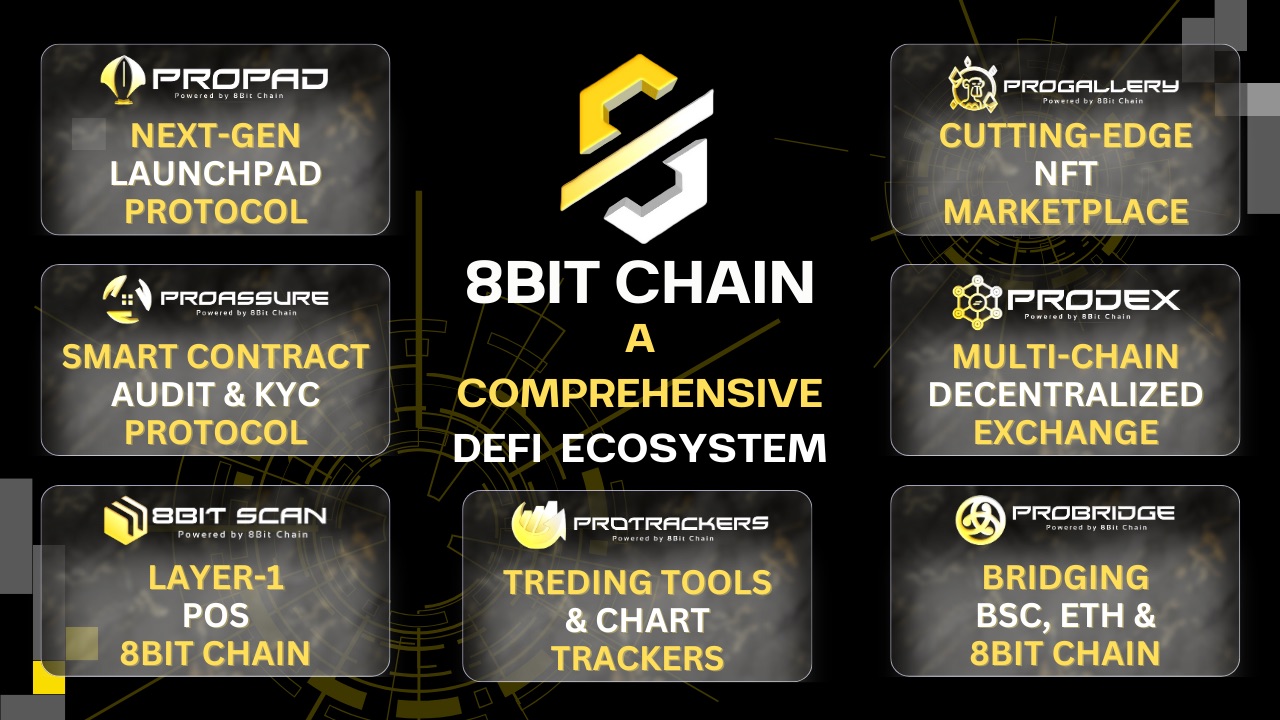 8Bit Chain's January 2024 Launch Targets Top 100 Market Cap